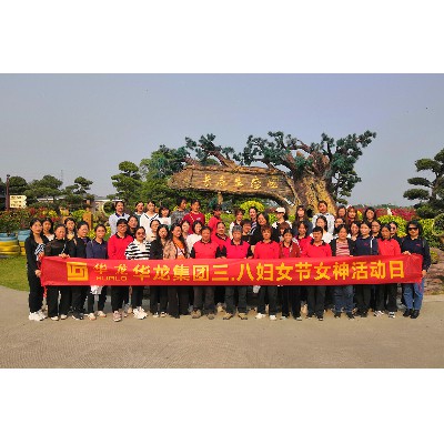 华龙集团（2023年）