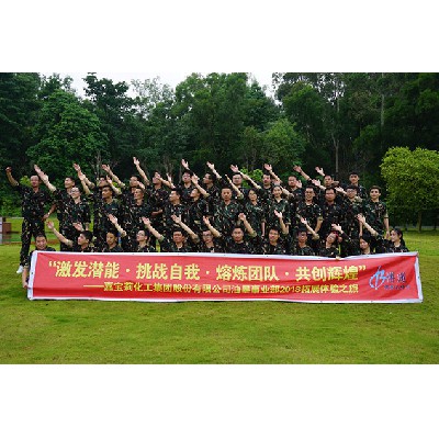 嘉宝莉化工集团