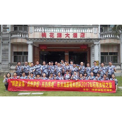 东洋油墨（2017年一期）