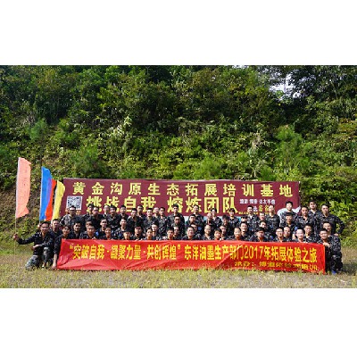 东洋油墨（2017年二期）
